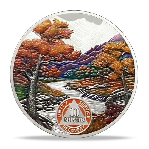 Image of Imasoner 10 Month Sobriety Coin, Autumn Seasons AA Medallion Recovery Chip
