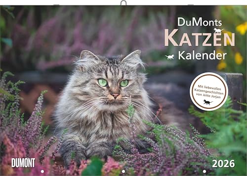 DUMONT - Katzenkalender 2026 – Broschürenkalender 42 x 29 cm mit 12 Katzenportraits, literarischen Geschichten & Schulferienterminen, Wandkalender für Katzenliebhaber