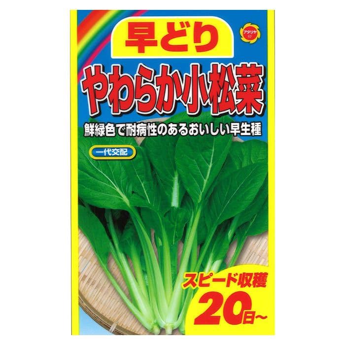 Amazon.co.jp: 早どり やわらか 小松菜の種 ＜葉野菜の種＞ スピード