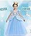 WYB Girls Princess Costume Dresses Blue Princess Dress Up Clothes with Accessories for Halloween Cosplay Carnival Party (4-5 years)