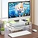 Egchi Clear Acrylic Monitor Stand Riser 2 Tier, 5.12 Inches High Clear Computer Desk Organizer Shelf for Multi Media PC Storage Laptop