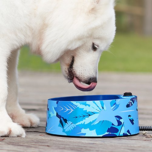 Best 5 Heated Water Bowls For Dogs Blog That Dog