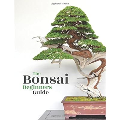 Bonsai