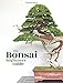 Produktbild Bonsai: The Beginners Guide