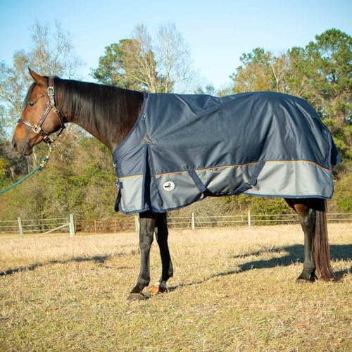 Jeffers Economy Plus Turnout Blanket with Standard Neck for Horses – 1200 Denier Waterproof Shell, 240g Polyfill Insulation - Breathable Weatherproof & Warm Equine Blankets, Navy & Gray – 66 inches