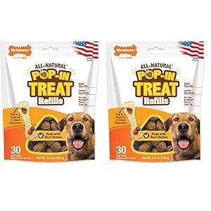 Nylabone All-Natural Pop-in Dog Treat Refills Chicken Pop-in (30 Count) (Pack of 2)