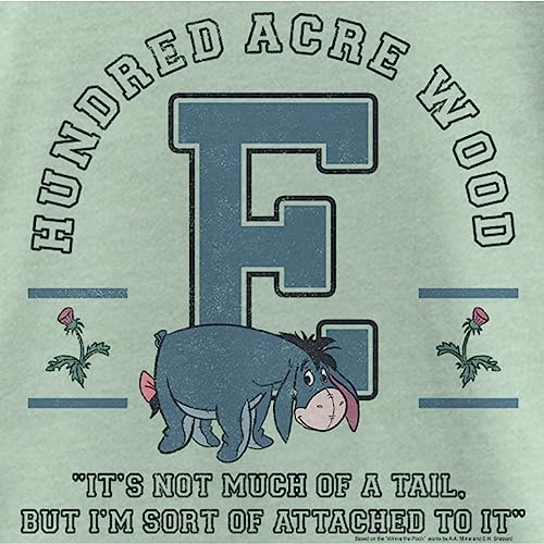 Disney Winnie The Pooh Eeyore Collegiate Girl's Solid Crew Tee2