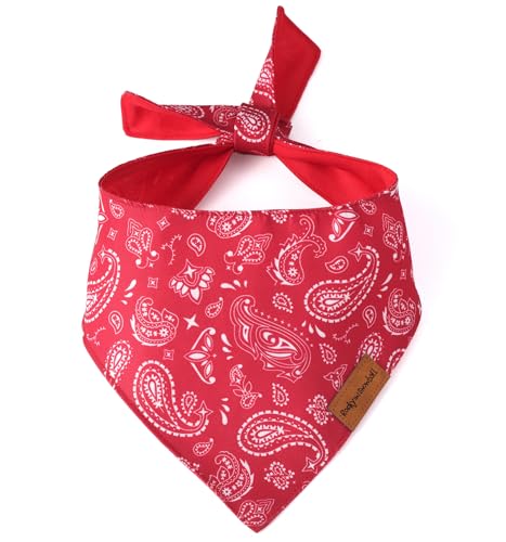 Rocky And Snowball Dog Bandanas, Pet Bandanas For Dogs cover