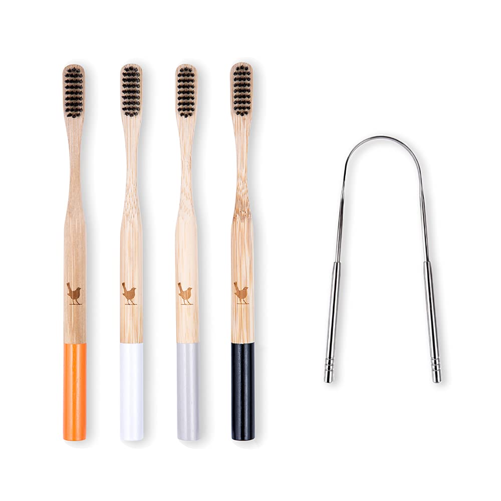 Native Birds Bamboo Toothbrush with Soft Charcoal Infused Bristles, New Set of 4 Eco Friendly Toothbrushes, BPA Free and Tongue Scraper
