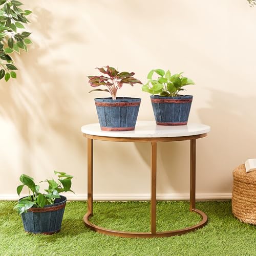 Amazon Brand- Solimo Indoor and Outdoor Round 8 Inch Barrel Flower Planter Pot Best for Terrace/Balcony/Home/Office Decor - Set of 3