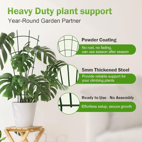 DOLEMODUO 6-Pack Metal Trellis for Potted Plants, 43" Heavy Duty Garden Trellis for Climbing Plants, Rustproof Powder Coated Indoor/Outdoor Trellis for Climbing Vines, Flowers, Houseplants by DOLEMODUO - Image 4