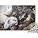 ritratto femminile Mini Jigsaw Puzzle per adulti 1000 pezzi Puzzle per adulti Ragazzi Bambini Puzzle impossibili Giochi Giocattoli regalo 38x26 cm