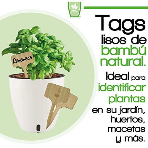 Recopilación y reviews de Kit de huerto urbano marca EcoGrow los 10 mejores. 8 Imagen adicional