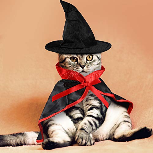 Disfraz Halloween para mascotas pequeños capa y sombrero miniatura 5