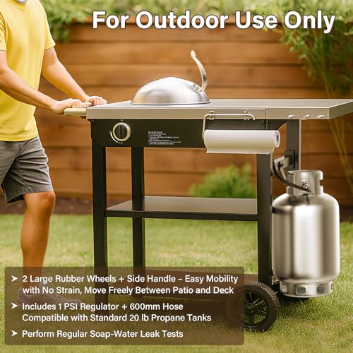Commercial Stainless Steel Fry Station