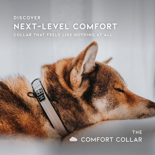 Collier en nylon réglable avec support Airtag pour chiens de toutes tailles Utah - 7
