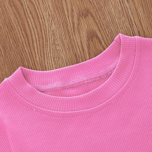 Image of Toddler Girl Clothes Summer Outfit Short Sleeve Shorts Set 12M-5T