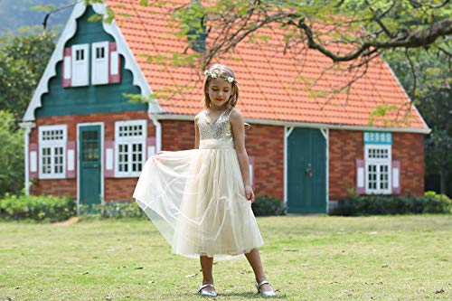 Bow Dream Flower Girl's Dress Sequins Tulle3