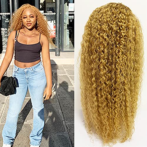 KAFEIER 27 Wig Human Hair Curly Transparent Lace 4X4 Honey Blonde Closure Wig Wet and Wavy Curly Honey Blonde Lace Front Wig Human Hair Pre Plucked Bleached Knots Glueless Wig 14 Inch