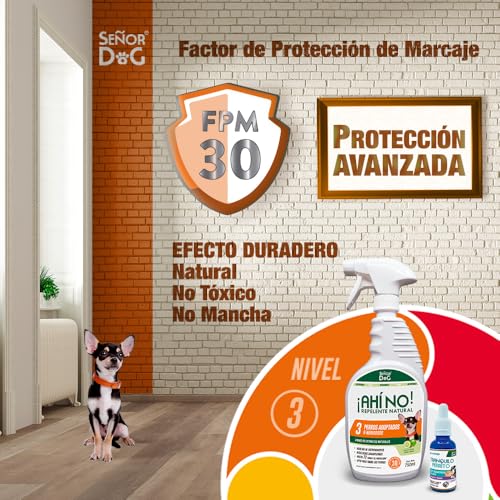 Consejos para Comprar Liquido entrenador para perros favoritos de las personas. 19 Imagen adicional