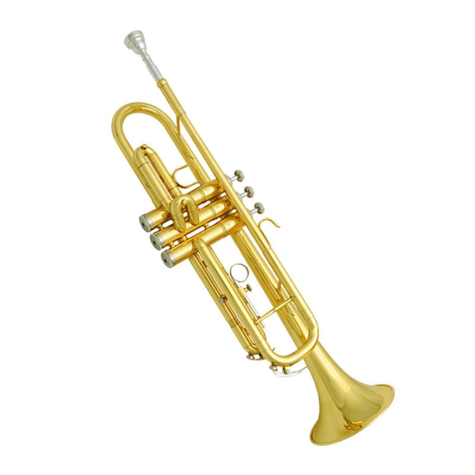 Adult Trumpet Trompette en si bémol pour débutant