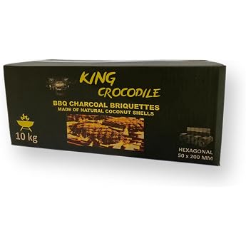 Coconut Charcoal with Long Burning Time I Hexagonal Barbecue Charcoal I Little Ash I Low Smoke I Sustainable Natural Charcoal I Charcoal Poles in Professional Quality I 10 kg