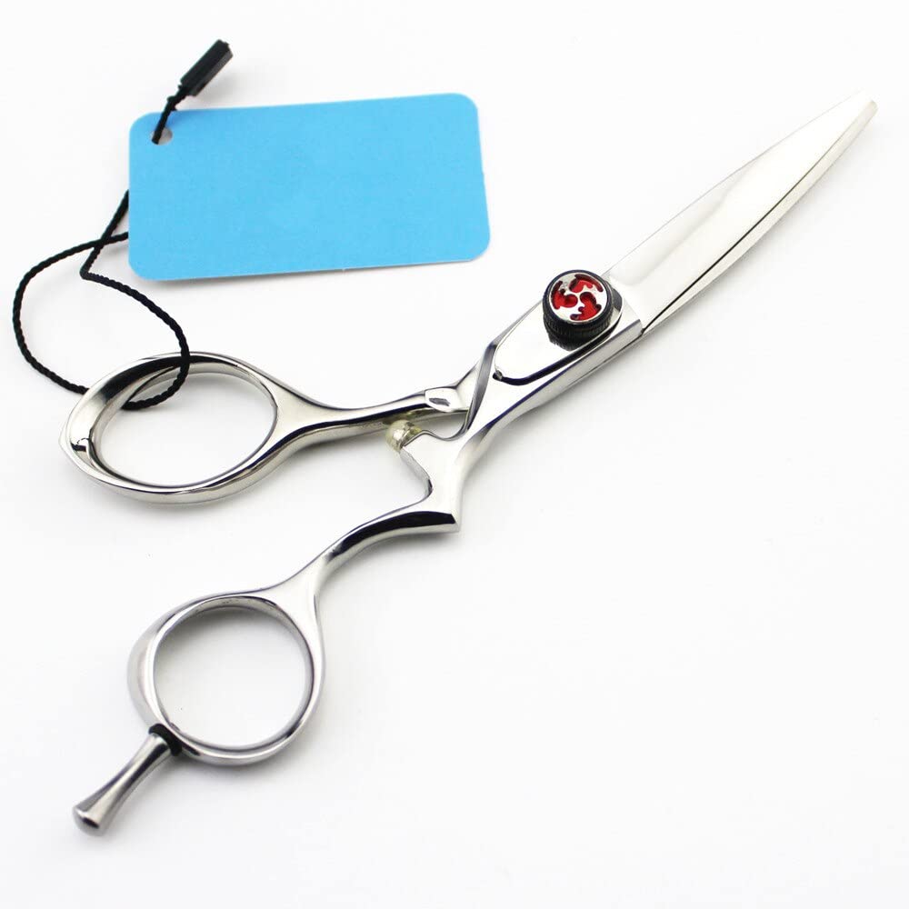 Ciseaux de coiffure professionnels 5,5 pouces acier japonais 440C pour coiffeur