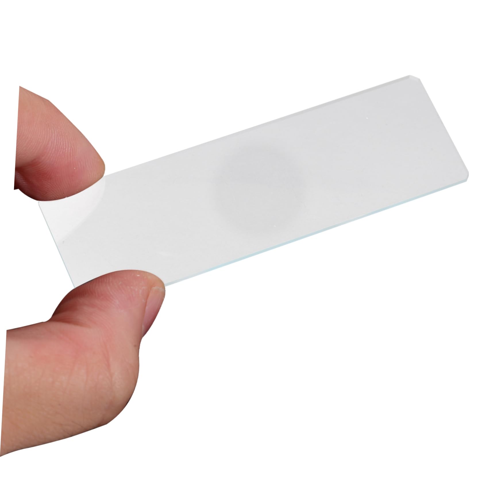 Lames de Microscope à Cuvette Simple pour Spécimens Aquatiques, Lot de 50