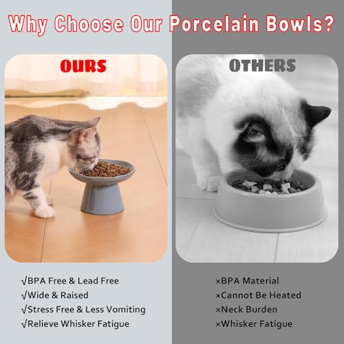 Image of Extra Wide 6.1 inch Ceramic Raised Cat Food Bowl, Shallow Elevated Pet Feeder for Food Feeding, Anti Vomiting Whisker Fatigue Bowls for Cat Puppy, Blue