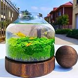 Zoom IMG-1 fkystrix ecological fish bottle magical Zoom IMG-1 fkystrix ecological fish bottle magical