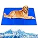 Forever Speed ​​​​Tapis de Refroidissement pour Chiens, Tapis de Refroidissement pour Chiens et Chats, Coussin de Gel Froid, utilisé pour Les niches et Les Lits 60 x 100 cm
