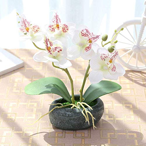 SparY Simulación Bonsái, Jardín con Macetero Escritorio para Oficina Paisaje Mariposa Orquídea Boda Falsos Flores Decorativo Planta Artificial en Maceta Regalo Casa Adornos - Blanco, Free Size