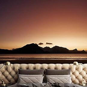 signwin Wall Mural Sunset Sunrise Background Nature Scenery...