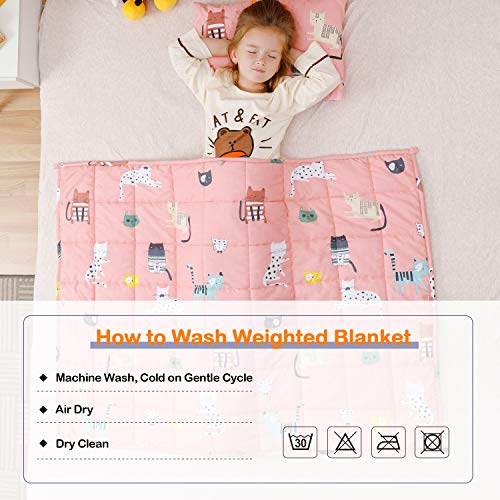 Image of Uttermara Weighted Blanket 7 lbs, Ultra Cozy Minky Fleece and Cotton Sided with Cartoon Patterns, Reversible Heavy Blanket Great for Calming and Sleeping, 36x48 inches, Pink Cat