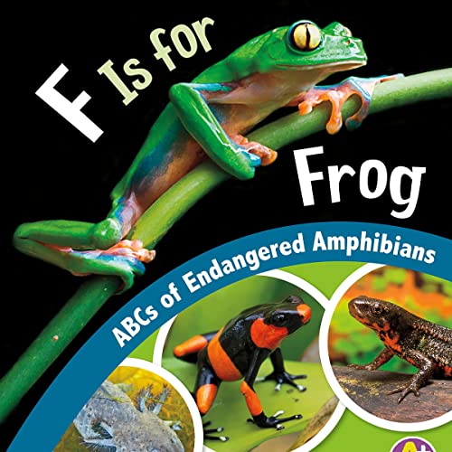 F Is for Frog by Lisa J. Amstutz, Sharon Katz Cooper episode artwork