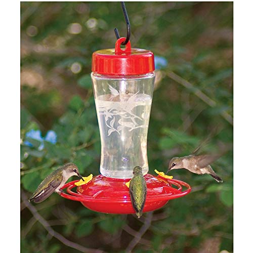 Homestead 3910 12-Ounce Hummingbird Feeder (Etched Hardened Glass)