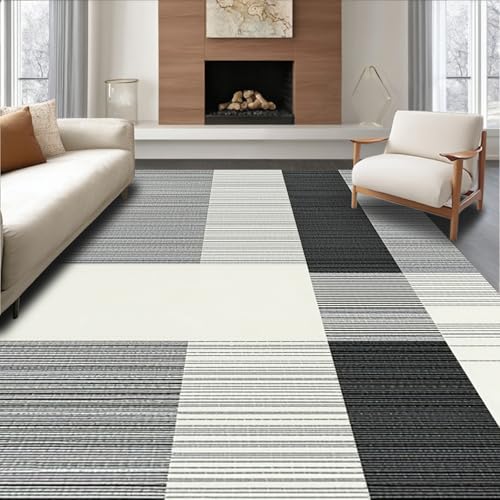 ODIKA Flatwoven High Traffic Area Rug 2x3, Minimalist Line Art