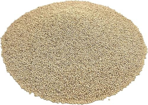 CZ Grain Premium White Millet Proso Seeds - Bulk Seeds, Bird Feed, Wild Bird Food (12 Ounces)