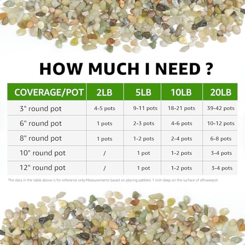 Image of 20lbs Natural Gravel Pebbles for Succulents and Cacti, 1 /5 Inch Decorative River Stones - Perfect for Vases, Aquariums, Terrariums, and Outdoor Gardening, Mixed Colors (Jade, 20 Pounds)