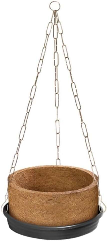 Vaso Nutricoco De Fibra De Coco 03 Completo Para Samambaia Com Suporte de Parede E Prato