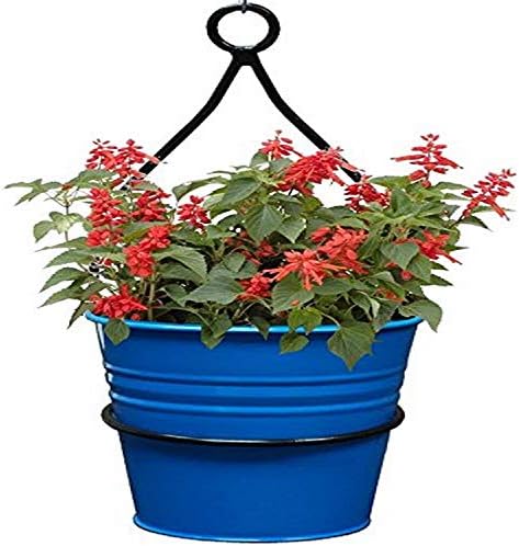 HiT 0337E B Hanging Wall Planter with Iron Hanger, Blue