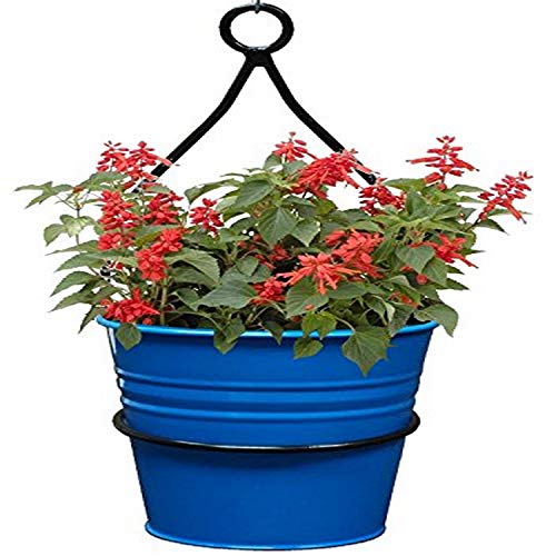 Hit 0337E B Hanging Wall Planter With Iron Hanger, Blue #TOP2