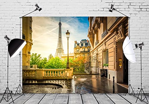 Fondo Fotográfico Paris Torre Eiffel 5x3FT Tela miniatura 3