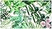 HAOKHOME Tropical Peel and Stick Wallpaper Green Jungle Botanical Floral Removable Wall Paper for Forest Accent Wall Nursery Bathroom Vinyl Contact Paper 17.3in x 118in
