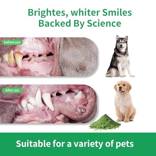 Pet enjoying food with dental powder mixed in