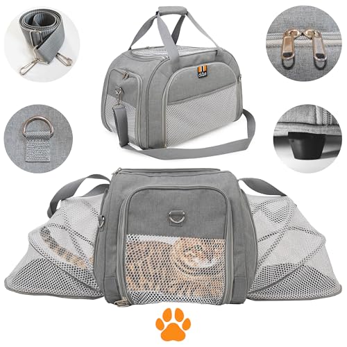 MY DUQUE – Modell CAR-GO Faltbare Hundebox und Transportbox für Katzen | ISOFIX für einfachen Einbau im Auto | Erweiterbare Hundetransportbox mit Zugriff vorn & hinten – Ideal für Flugreisen – Grau