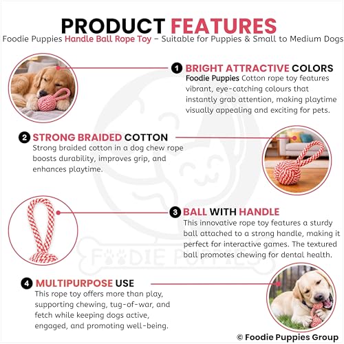 Image of Foodie Puppies Durable Cotton Rope Chew Toy for Dogs | Chewing, Fetching, Playing, Teething & Training for Small to Medium Dogs & Puppies (Color May Vary)