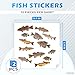 2 Sheets Fish Stickers for Adults - Realistic Detailed Fish Sticker Set, Quality Vinyl, 26 Fishing Stickers and Decals, Great Phone & Laptop Decorating - Usable with Metal, Plastic, Wood and Glass
