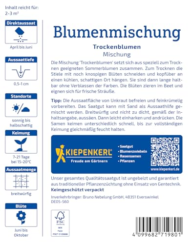 Kiepenkerl Blumensamen-Mischung Trockenblumen 1071980 - Vielfältige Trockenblumen für kreative Arrangements - circa 30-80cm - Wildblumensamen, Blumenmischung