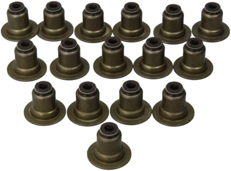 Reinz 12 37621 01 Gasket Set, Valve Stem